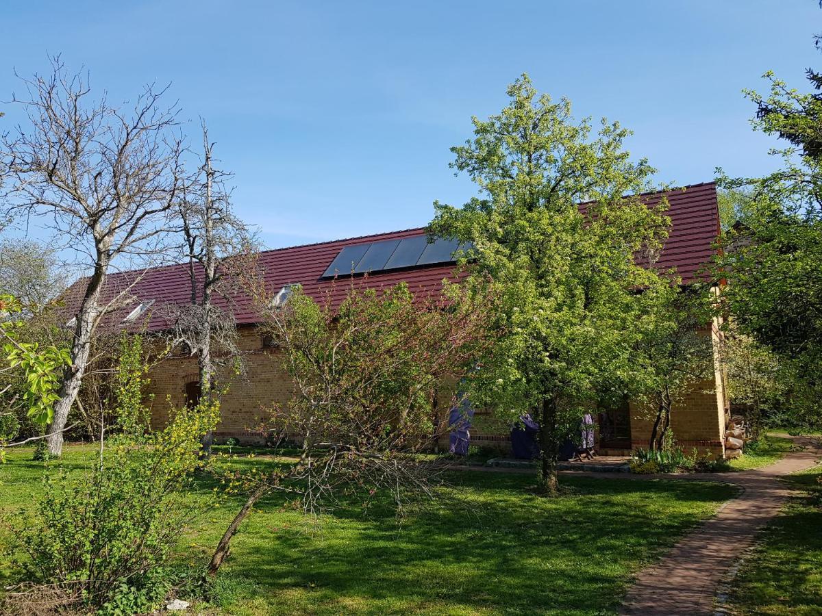 Ferienhaus auf dem Hof Lechner Drieschnitz Exterior foto